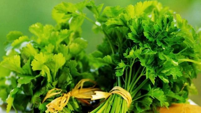 КАК ХРАНИТЬ ЗЕЛЕНЬ ПРАВИЛЬНО смотреть онлайн