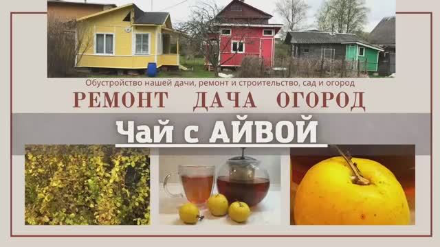 Чай с айвой, что сделать с айвой, зимний напиток!