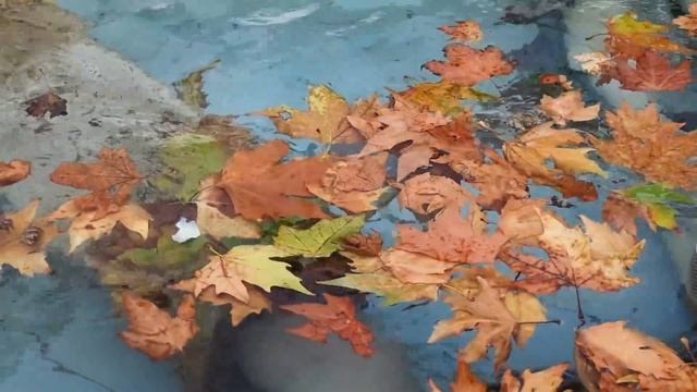 Крым Севастополь: Как Россия МЕНЯЕТ город русских моряков.  Новая набережная. Парк Победы. Крым 202