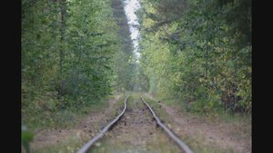 Дорога на Белое Озеро.15.09.24