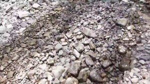 Проезд бродов по пути к горе Лысой (Ольгинская)