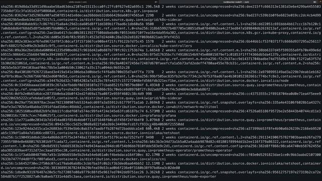 ContainerD Debugging Client Tool CLI - CTR with demo смотреть онлайн