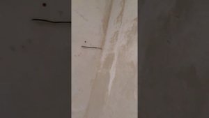 Отслоение гипсовой штукатурки,как сделать чтоб штукатурка не отслаивалась)))