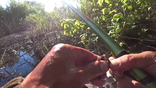 Крупный КАРАСЬ НА ПОПЛАВОК ?!! Рыбалка весной на удочку смотреть онлайн