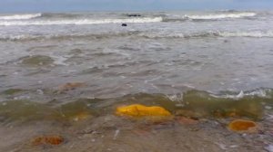 Сеанс очищения от сущностей после Короновируса