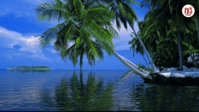 LAKI LAKI LOUNDRY || By CL'x ( Official M3 Studio ) смотреть онлайн