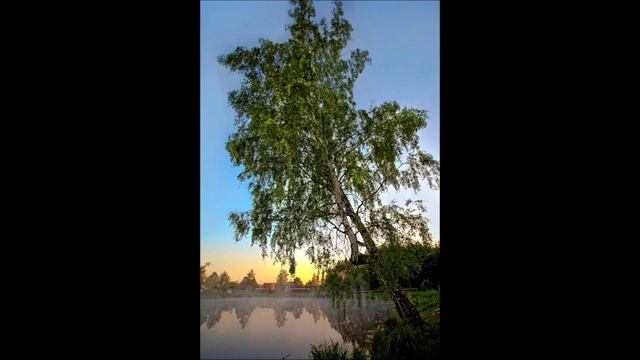 Лихачев земля родная. Земля родная слушать аудиокнигу. Земля родная колыбель золотая. Лихачев земля родная. Земля родная слушать аудиокнигу.