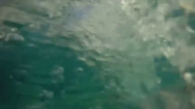 Щитовидная железа. Настрой Сытина. смотреть онлайн