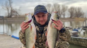 Рыбалка в Астрахани весной. Жор хищника в апреле. Обзор базы Блесна