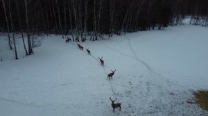 Погост Веретьево место силы