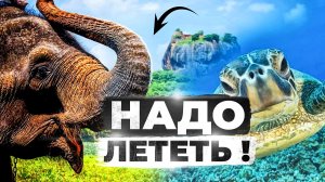 Шри Ланка открыта! На байке от Коломбо до Аругам Бей