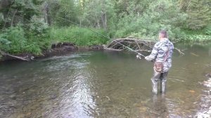 147 Серия Поймал 2 Рыбы Хариус на Обманка выше Поплавка Удочка Поплавок Тайга место Ива Река Даугли