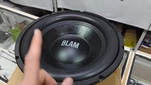 Универсальные сабовые динамики BLAM R12