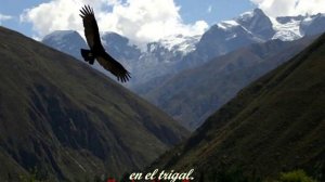 EL CONDOR PASA-PLÁCIDO DOMINGO.MP4
