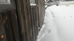 СОСЕДИ нарушили СНиП. Постройки на смежной границе, что мешает ландшафтному дизайну.