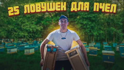 ГОТОВЛЮ 25 ЛОВУШЕК ДЛЯ ПЧЕЛ_ПЧЕЛОВОДСТВО БЕЗ ВЛОЖЕНИЙ_100% ВАРИАНТ ЛОВЛИ РОЕВ