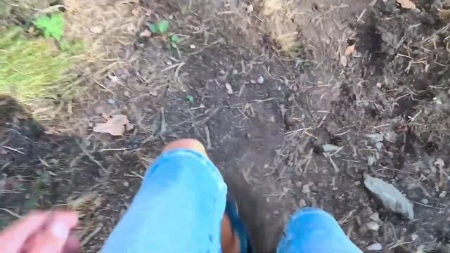 Часть1. Поездка в Горный Алтай - Путешествие в Чемал. Первые два дня отдыха.