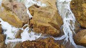 проход на нудистский пляж в Любимовке 2022г.