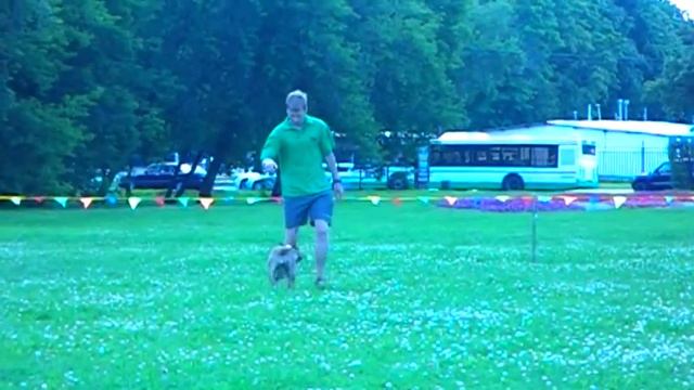 Черноусов Владимир бультерьер Кира Новички смотреть онлайн