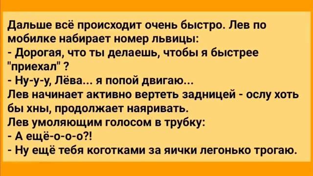 Анекдоты Про Царя Зверей