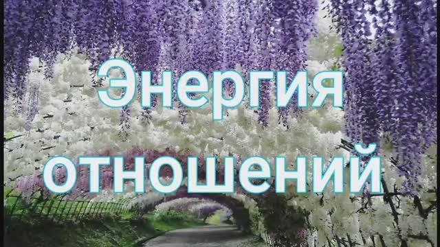 13 энергия. 13 энергия