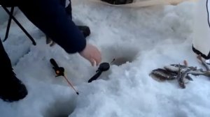 рыбалка на белом море