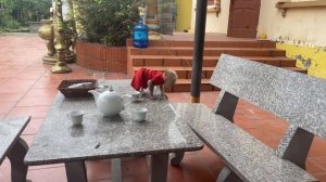 Baby monkey Abi was angry with his mother when he was left home alone