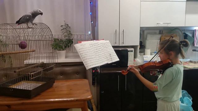 распевка с жако Асей. смотреть онлайн