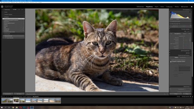 Курс "Геоинформационные системы и аэротехнологии". Урок 2. Постобработка фотографий. смотреть онлайн