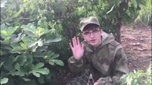 Охота на воробьев! НОВЫЙ СЕЗОН - #1 #охота #воздушка