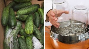 любимая закуска на все случаи жизни! Можно ли есть огурцы из банки с помутневшим рассолом