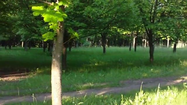 ПАРК "ПОБЕДЫ"Г.ЛОЗОВАЯ-ПРОСТО КРАСОТА!