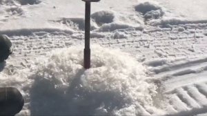 Ноглики. Мартовская рыбалка. Салатка.