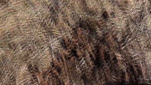 НА УАЗе ПО ВЕСЕННЕМУ БЕЗДОРОЖЬЮ ЗА МОНЕТАМИ!!! №94