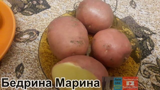 Сорта Картофеля. Рассказывает специалист по картофелям! :-)