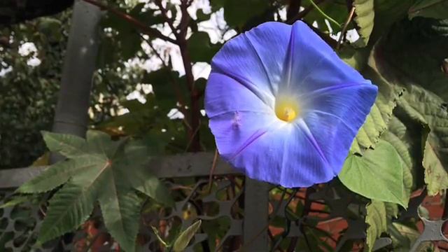 Доброго Воскресного Дня!