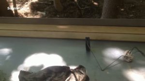 Toyota Lexus GS 300 решение ошибки p0171, p0172 (МегаСтоАвто)