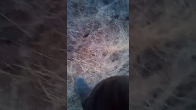 DETECH EDS PLUS 2 / METEOR LITE KARŞILAŞTIRMA смотреть онлайн