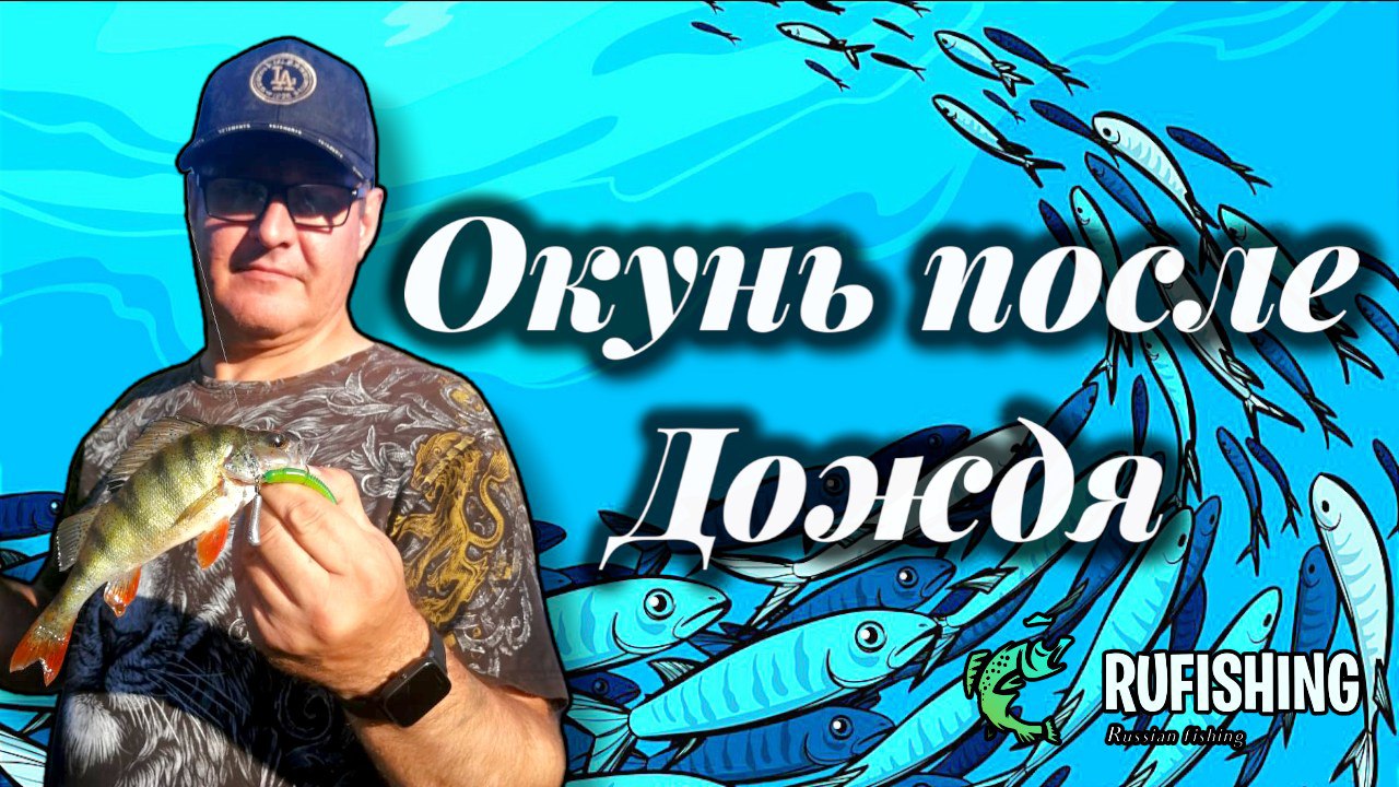 Кг fish. Самая большая рыба пойманная в Сочи. Как можно ловить рыбу из плесни воды. В Ростове ловят рыбу чистолом. Рыба реки Оби которую едят сырой.