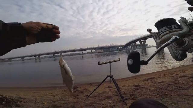 Рыбалка с продукцией ФЛАГМАН. Парк 300 летия.. СПб . Осень 2018г ..Часть 3. смотреть онлайн