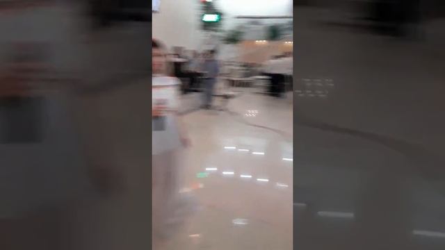 Дети спели на свадьбу сестры, до слёз смотреть онлайн