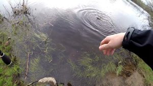 Жерех на стикбейт Zipbaits Rigge Raphael. GoPro