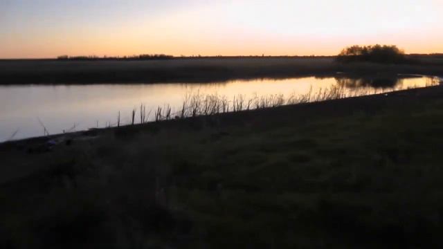 выезд на платник. рыбалка на карпа! смотреть онлайн