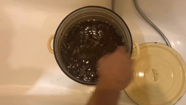 Зелень для птицы зимой.Легко. смотреть онлайн