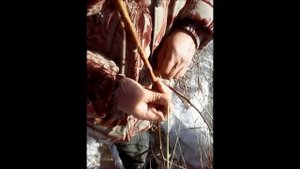 Петля на норку