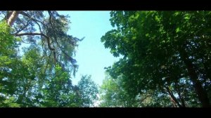 Лохин остров Лето