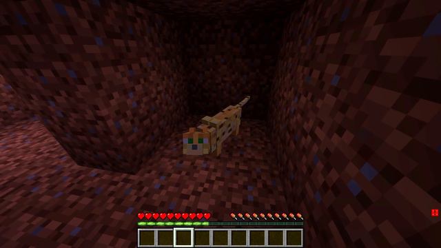 КАК МЕНЯЛАСЬ ДЕВУШКА КОШКА ПРИНЦЕССА МОБ ЕЁ ЖИЗНЕННЫЙ ЦИКЛ МАЙНКРАФТ! ЭВОЛЮЦИЯ И ТРОЛЛИНГ МУЛЬТИК смотреть онлайн