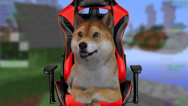 Stary Wstał смотреть онлайн