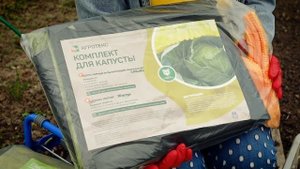 ТАК КАПУСТУ ВЫ ЕЩЕ НЕ САЖАЛИ! Посадка капусты в открытый грунт