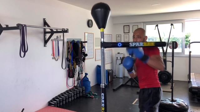 Sparbar Boxing Reflexes